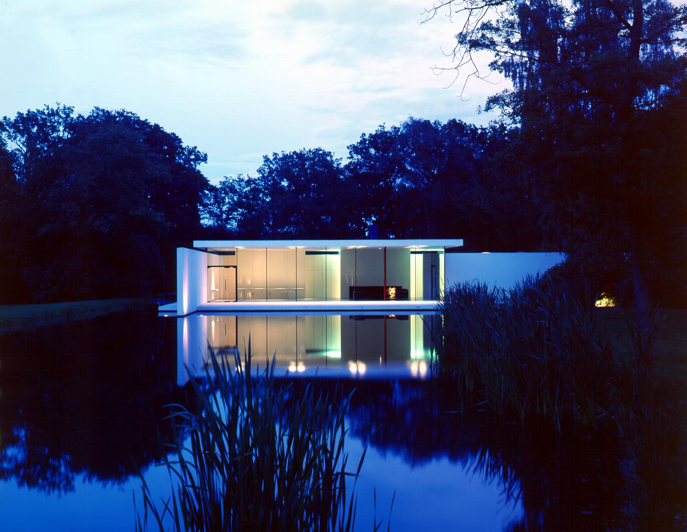 A glass box in the woods