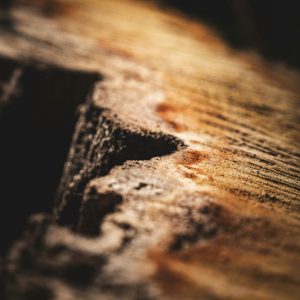 Wood