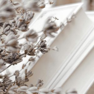 Scent